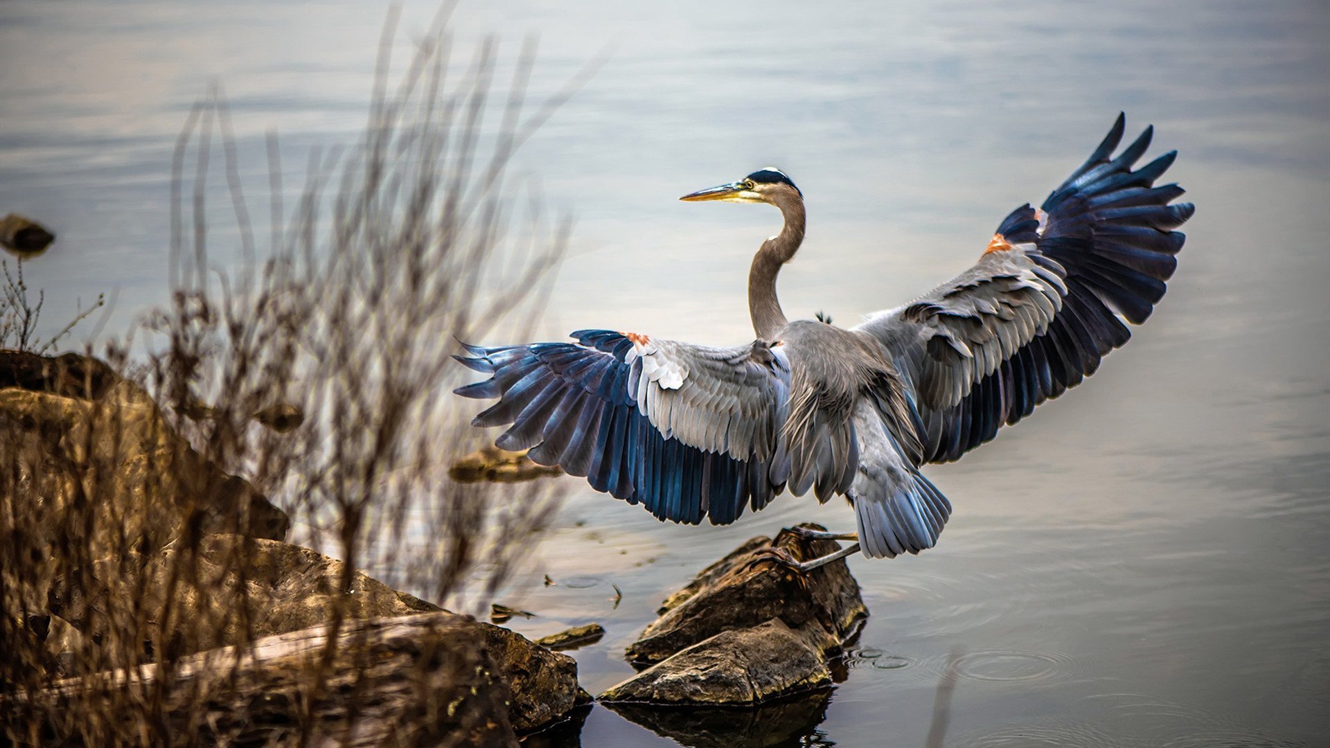 里昂对阵几内亚，劳塔罗首次交锋即上演完美定义，点燃法兰西之夜