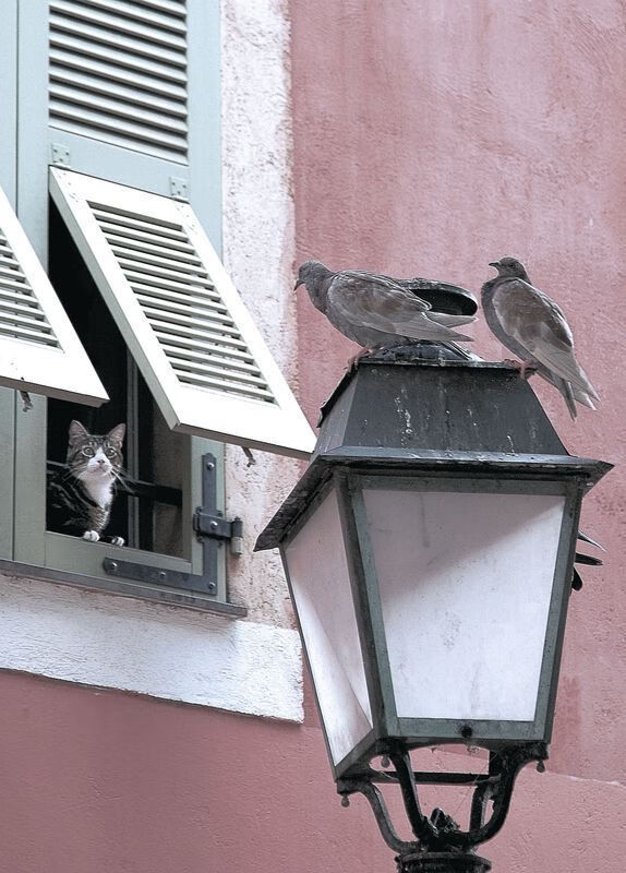 霸权崩塌那一天，从勒沃库森登顶到NBA新王接管