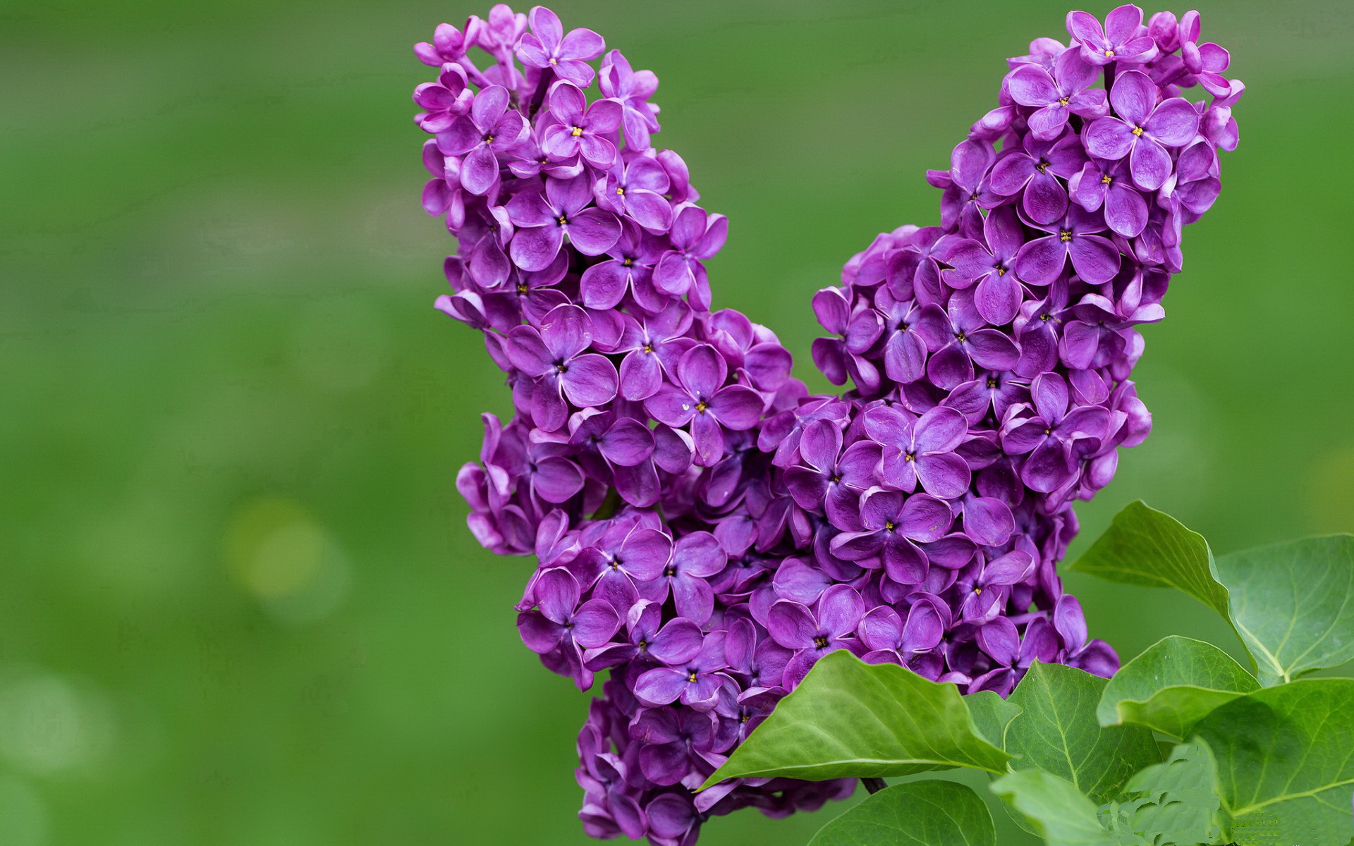 广东破局者，保罗关键一击引领强势晋级之路