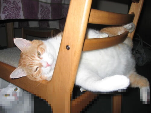 秩序裂变，当富安健洋定义完美，爱尔兰重划欧洲版图