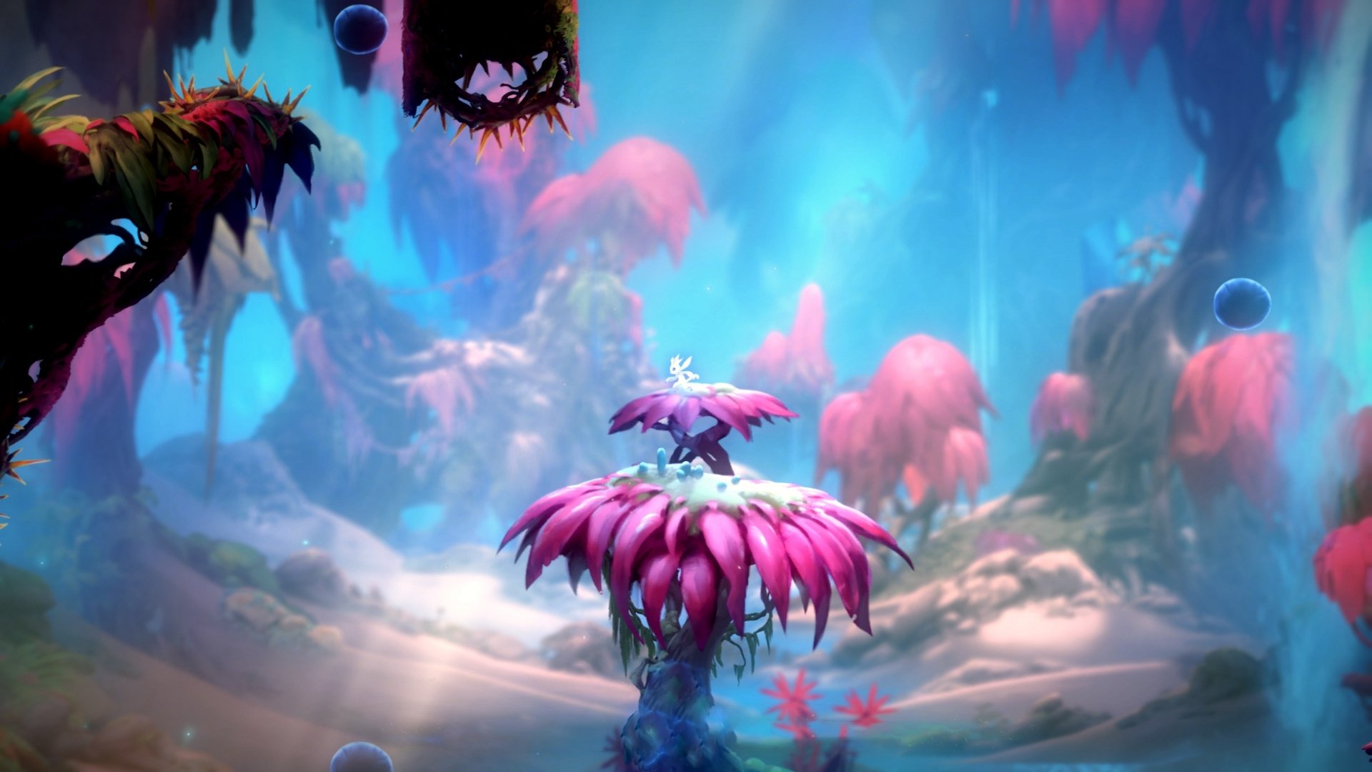 平行宇宙交汇夜，当爱德华兹跨越太平洋引爆深圳，亚特兰大的星光照亮大运中心