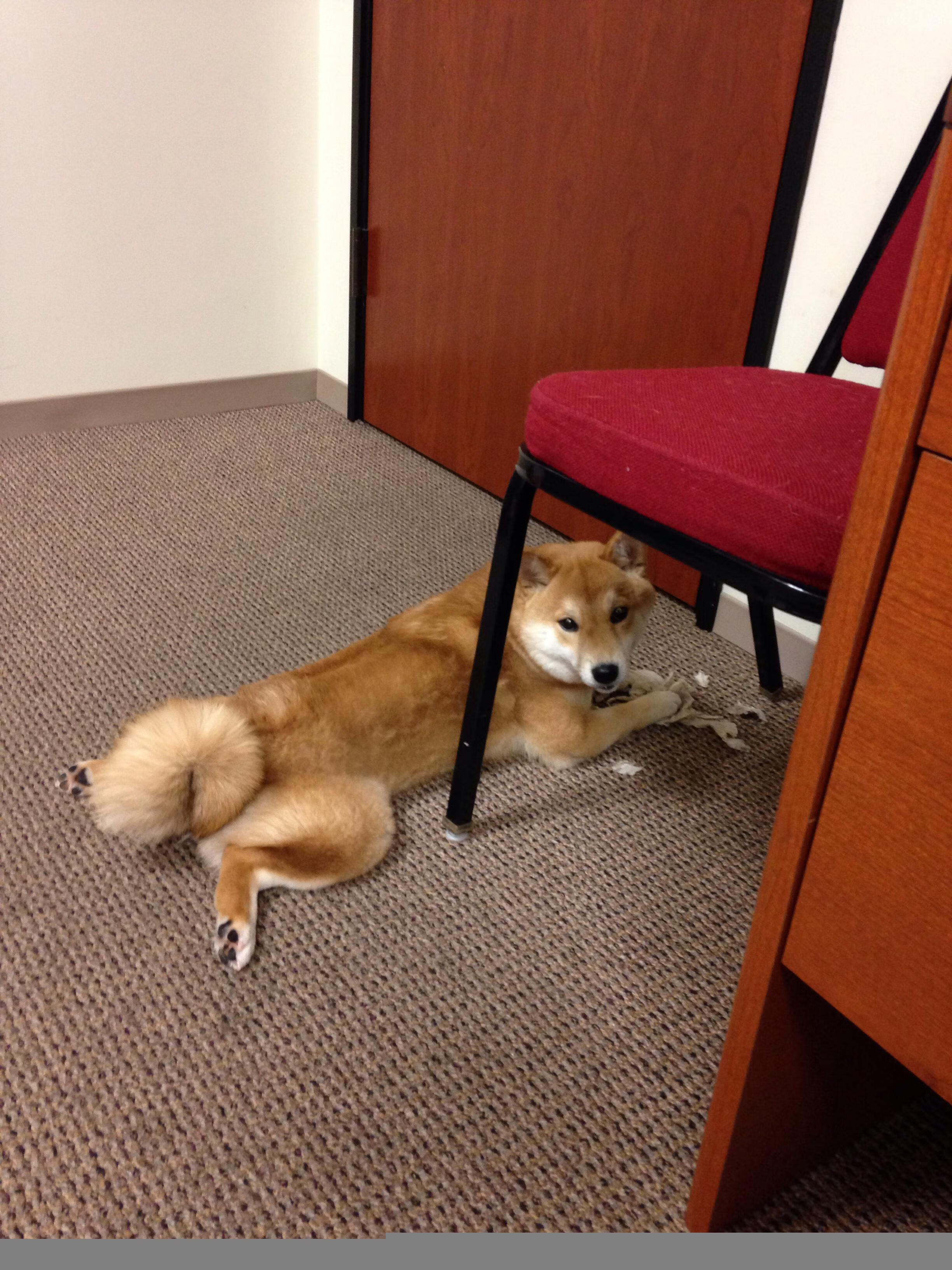 抢七之夜，恩比德与幽灵共舞