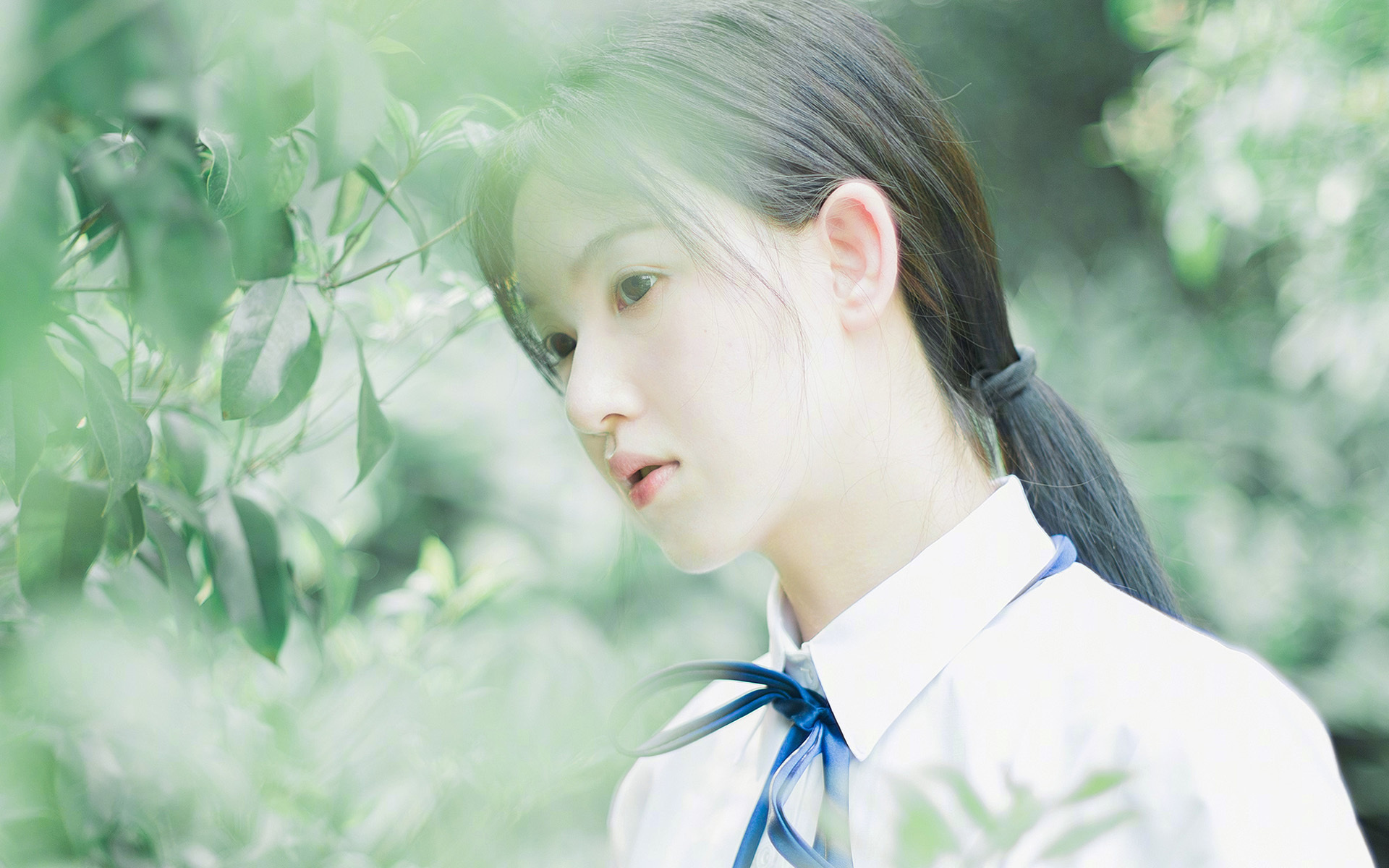 冰与火之歌,班凯罗与凯尔特人的攻防转换哲学决战