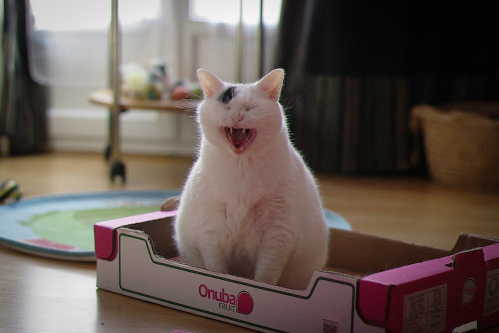 中国故事的逆转与绝对主宰的个人英雄主义