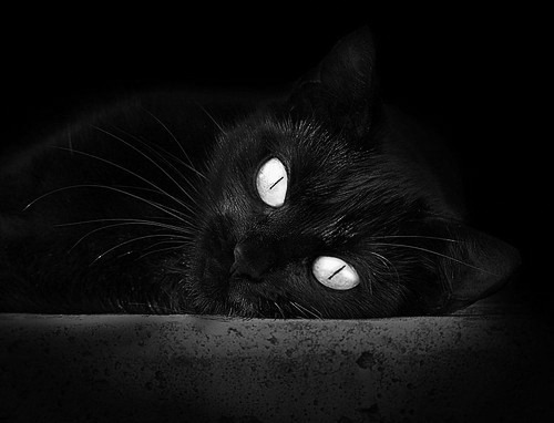 欧冠之夜,阿根廷利刃绝杀红魔,哈兰德化身沉默织网者