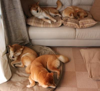 赛博风暴与光学利刃,快船的火力方程式如何拆解广厦铁幕