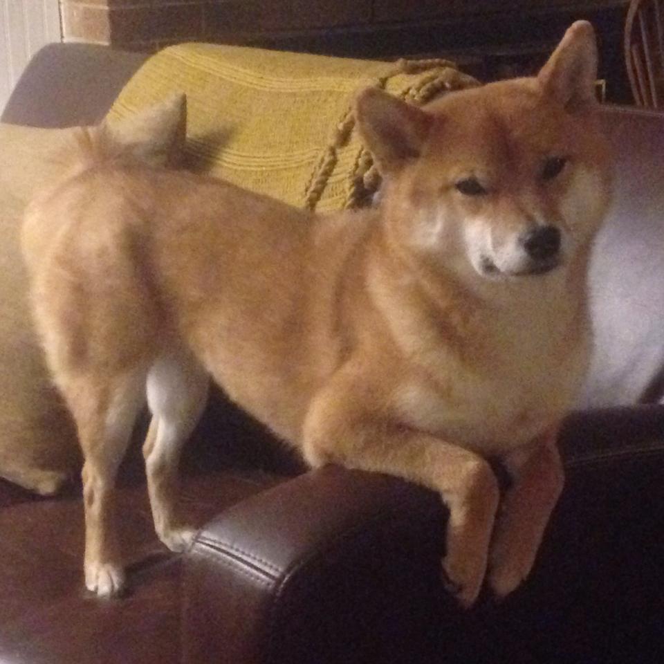 数据之巅,奥运关键夜,斯通斯如何用一场比赛定义现代中卫