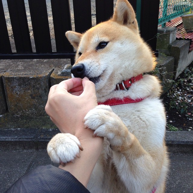 刀锋与堤坝,在虚构的经典对决中,布雷默何以定义唯一