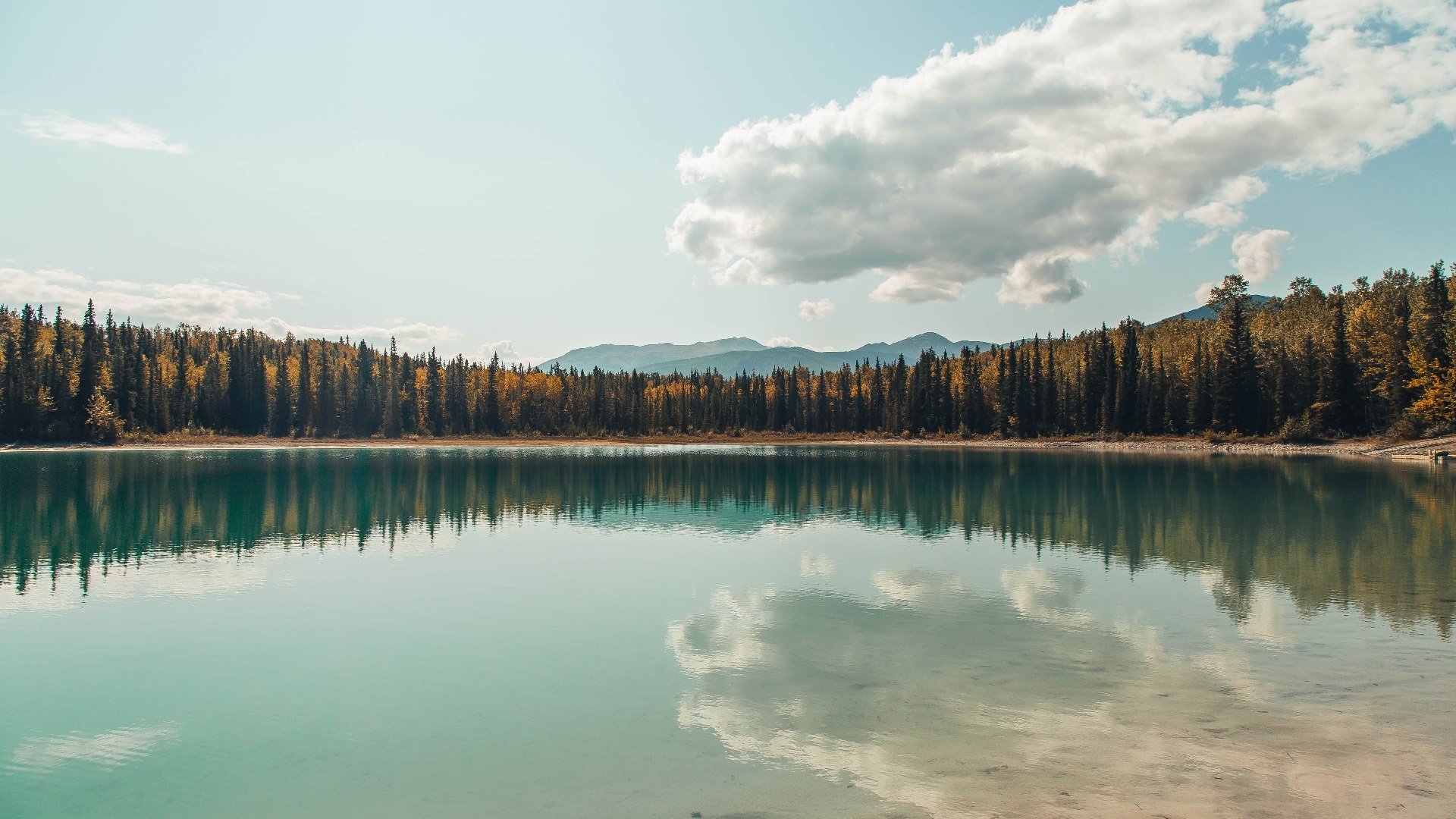 孤狼的魔术与雁阵的囚笼,约基奇如何在太阳的战术铁幕下定义现代篮球
