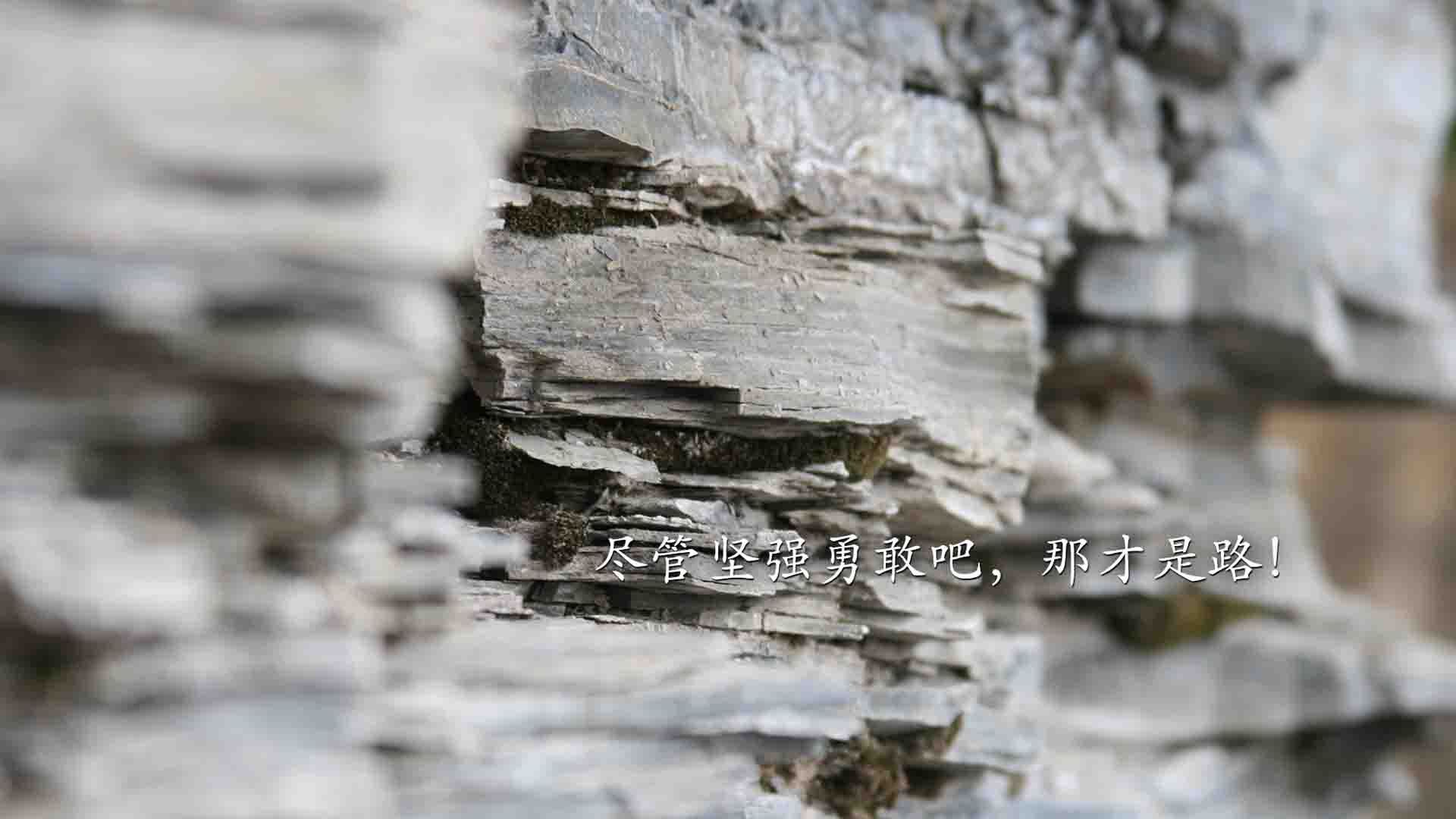 NBA总决赛的跨界启示，毕尔巴鄂的团队哲学如何完胜爱尔兰精神