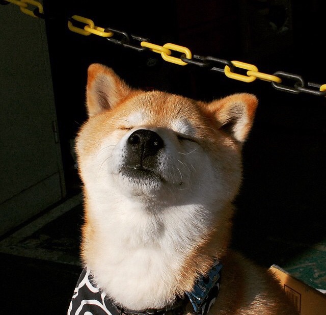 从卡迪夫到基多，一场横跨大西洋的绿茵风暴