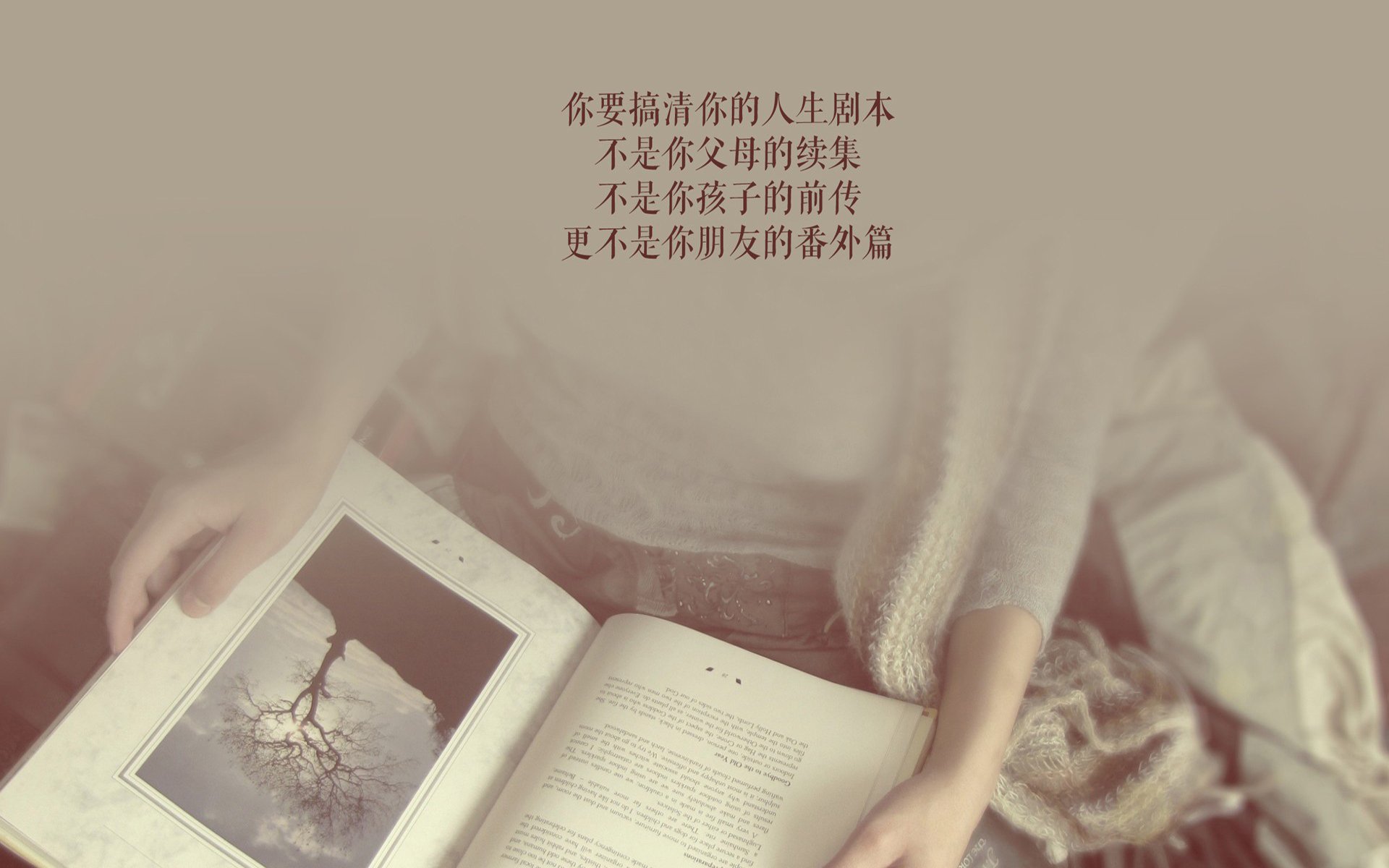 命运之夜，2026世界杯E组生死战，葡萄牙绝杀波兰，穆西亚拉独舞惊艳世界