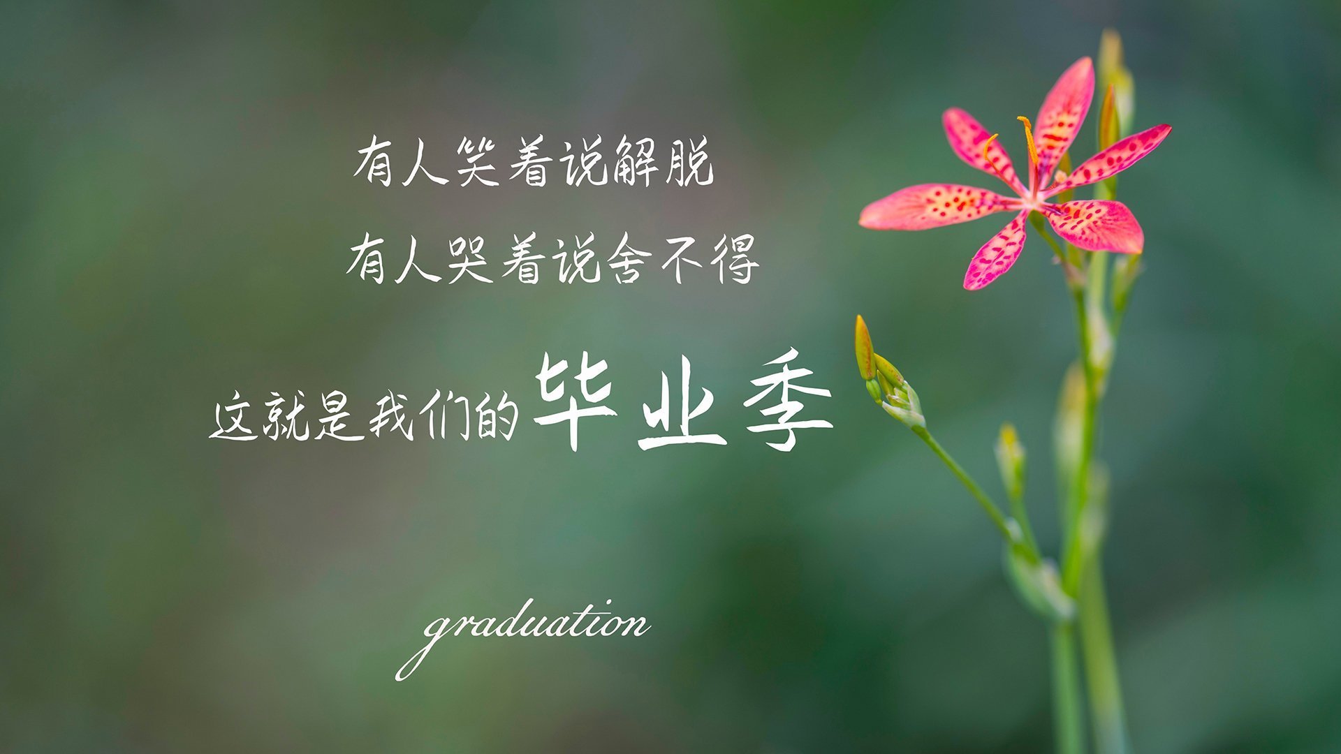 滴水不漏的王者之师,葡萄牙如何在2026世界杯D组中以铁血节奏压制厄瓜多尔