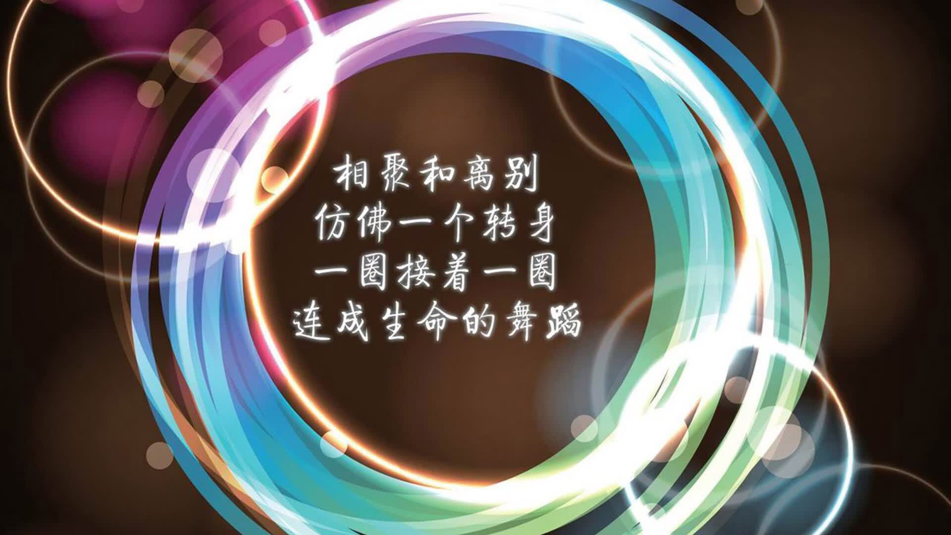 沙漠之鹰与高卢雄鸡的独奏，2026世界杯，唯一一场无法复刻的豪门序曲